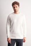 Long Sleeve Crew Neck Plain Cotton Comfort Fit Sweatshirt 1013255150
